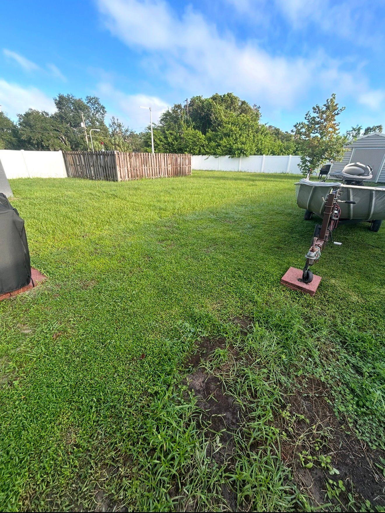 Lawn care results